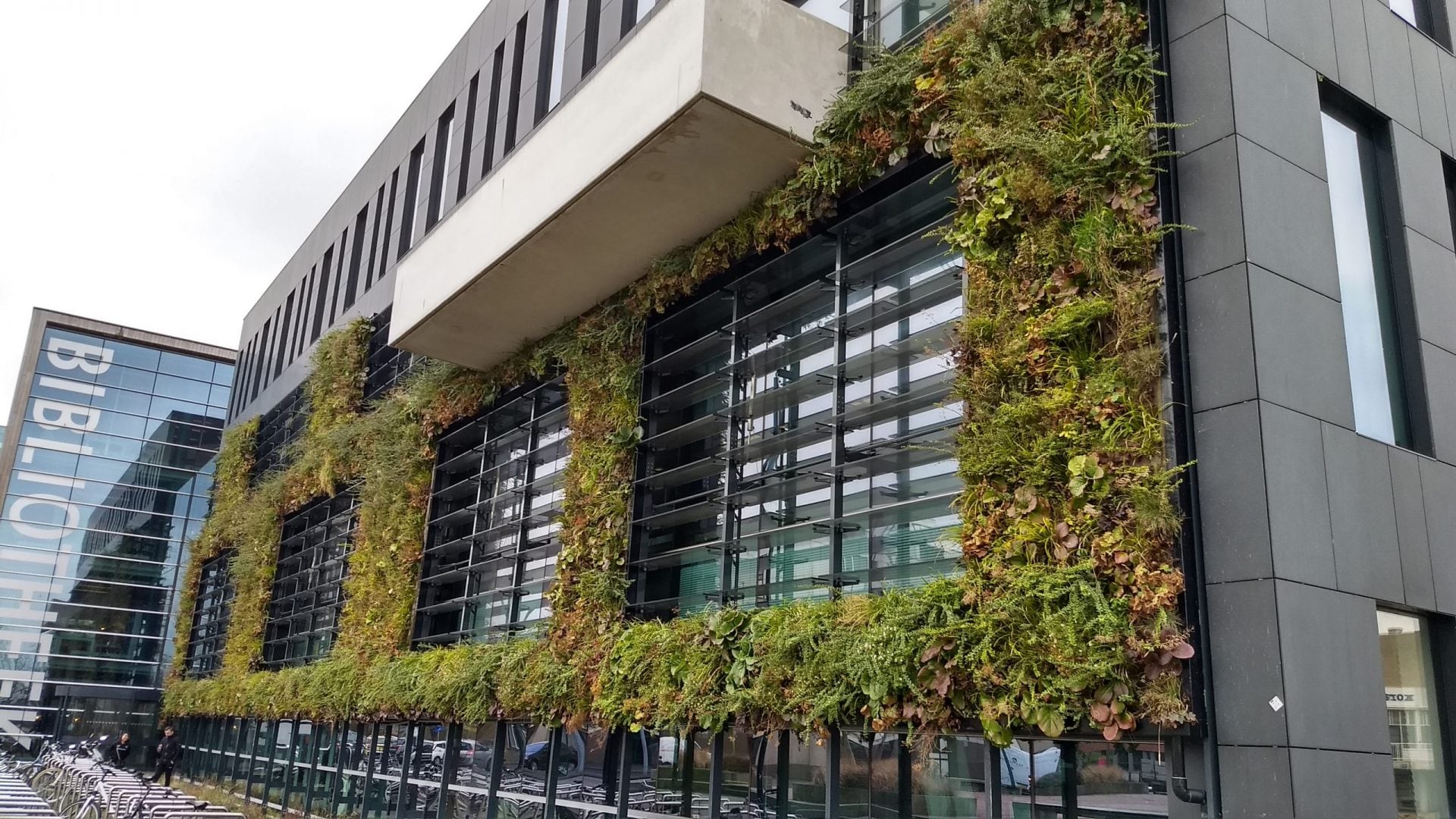 Groene muur – natuurinclusief bouwen Groene muur - natuurinclusief bouwen